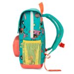 Hello Hossy - Sac Disco Roar – Image 2