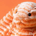 Jellycat - Bashful Bunny Fizzleskip Original - Exclusivité boutique ! – Image 3